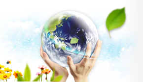 철저한 환경관리