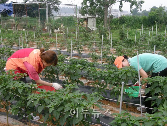 전북ES, ´영보은혜의집´ 봉사활동