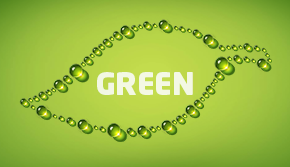 Misunderstanding and Truth about Water Vapor