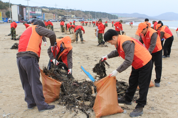 영남ES, 새봄맞이 민관군 환경정화활동（신영일만항 인근）